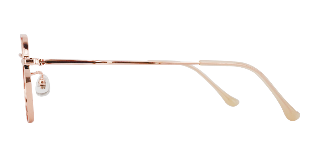 Clarita Rx Titanium Glasses