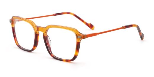 Bellevue Prescription Glasses C4