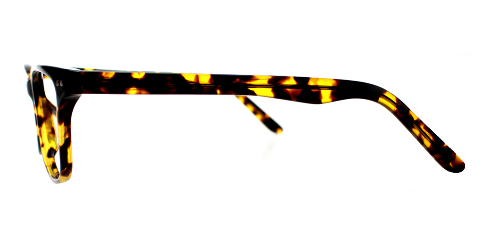 Pacifica Eyeglasses Demi
