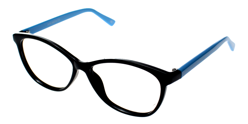 Jamestown Eyeglasses Blue