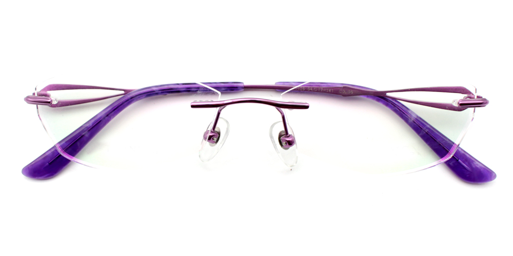 Olivia Titanium Glasses Purple