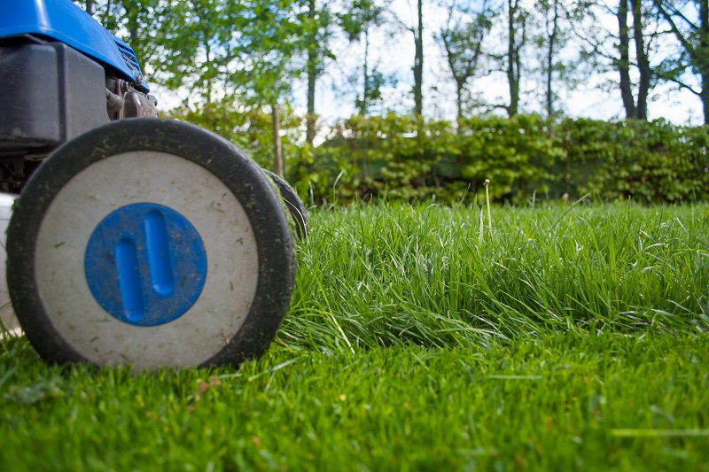 Top 9 Tips for Yard Work Safety