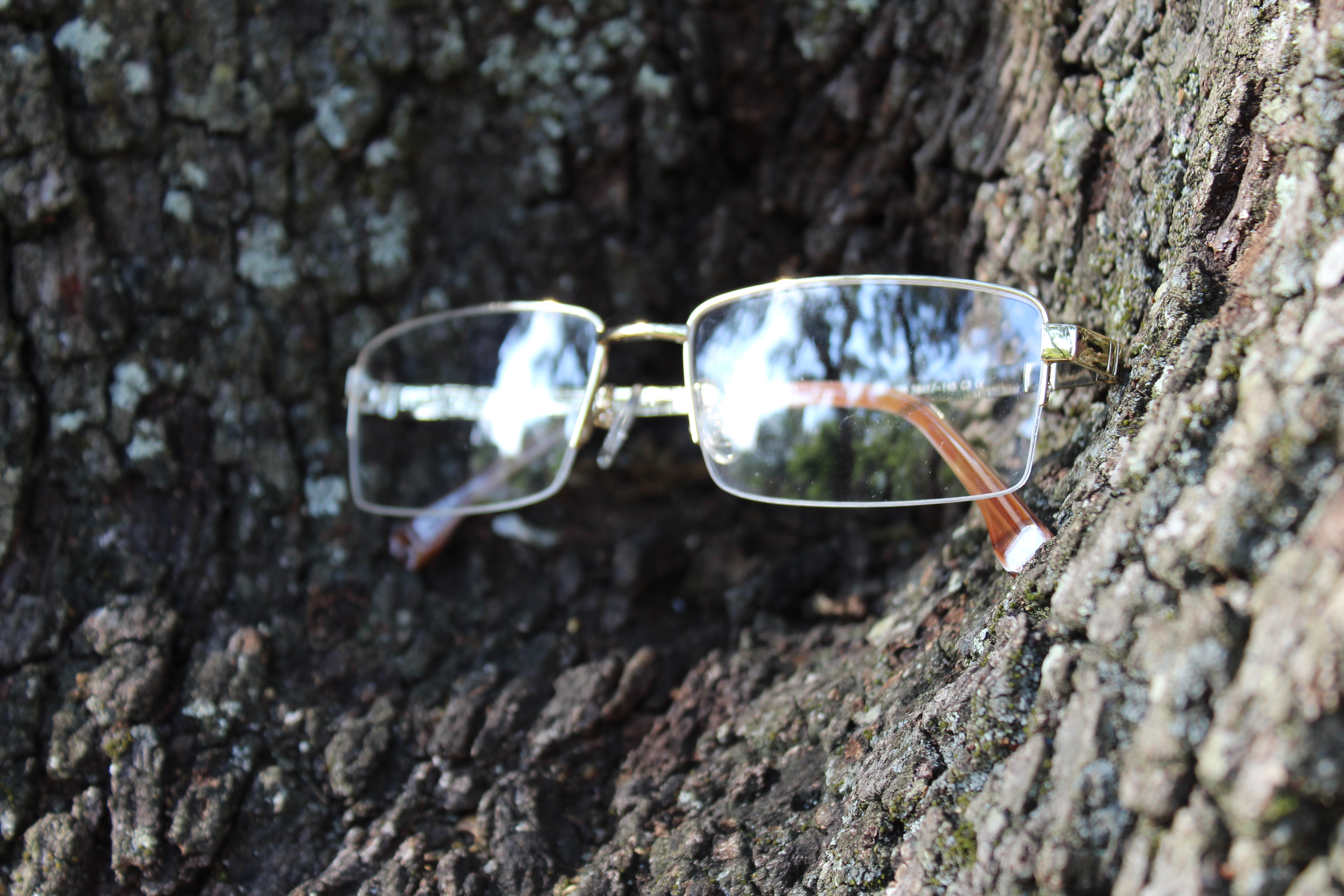 Prescription Glasses